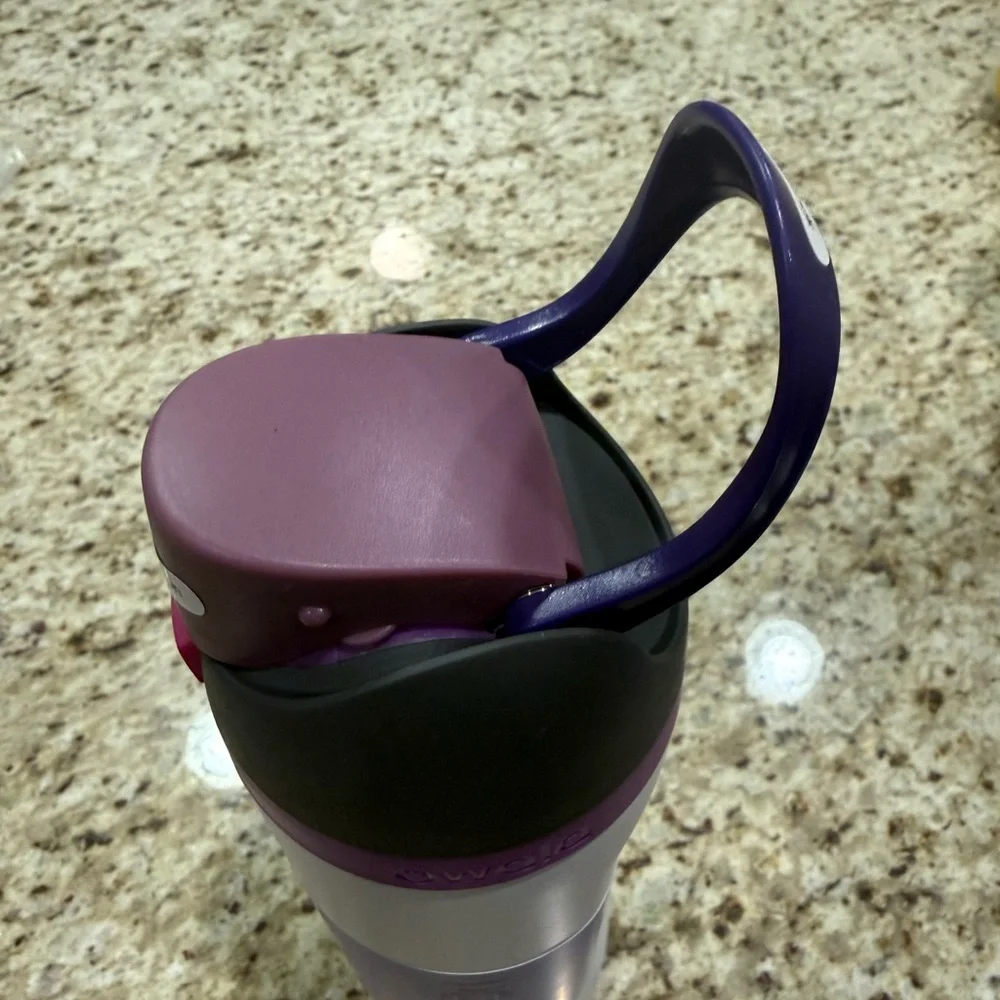 Owala Purple Insulated Tumbler with Straw 24oz
